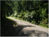 Bad Kleinkirchheim - Rossalmhütte